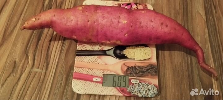 Батат,сладкая картошка