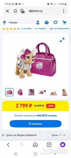 Собачка чичилав