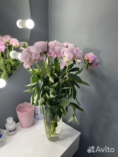 Аренда рабочего места мастера бровиста/визажиста