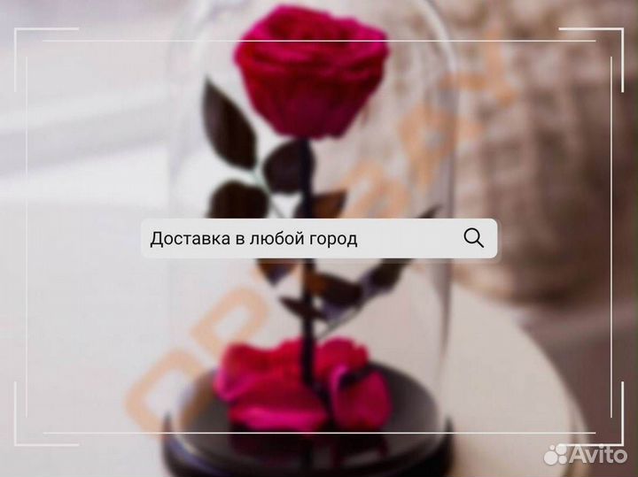 Роза в колбе. От производителя
