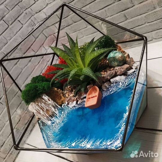 Флорариум, моссариум