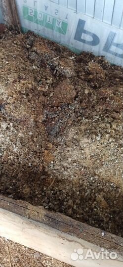 Навоз перепелов птичий. Удобрения бесплатно