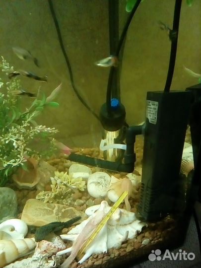 Аквариум 100 л. + рыбки