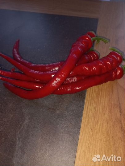 Перец горький красный