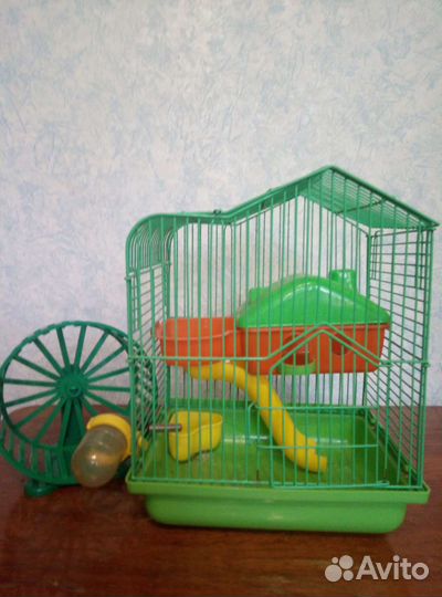 Клетка