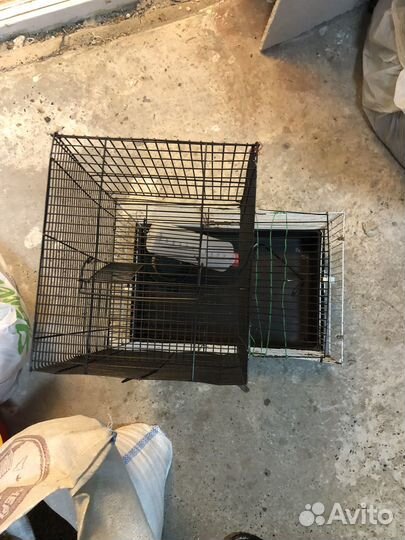 Клетка для грызунов