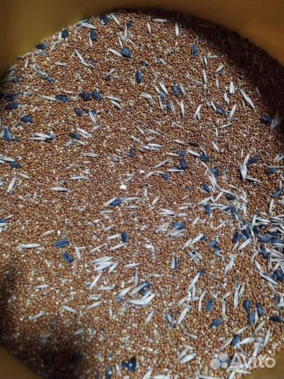 Корм для попугаев