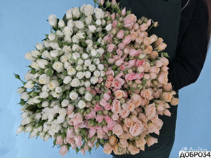 Букет из Роз с Доставкой 51 роза 101 роза