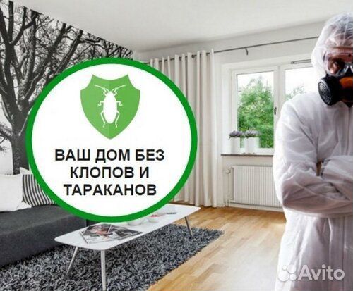 Обработка от насекомых