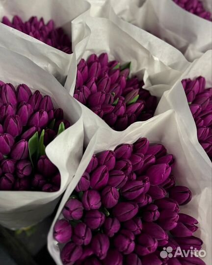 Тюльпаны к 8 марта