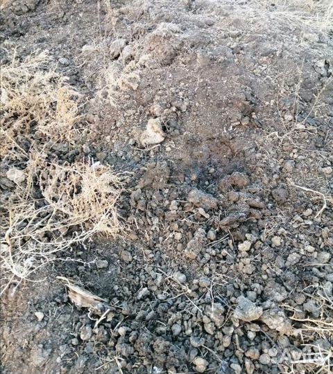 Навоз перегной бесплатно