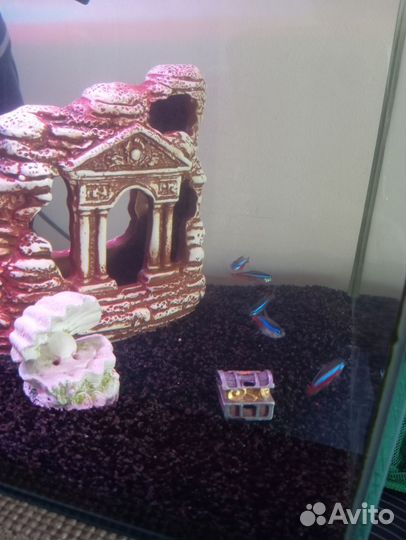 Аквариум куб 30*30