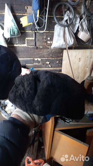 Продам зимнюю шапку