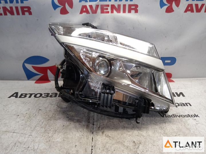 Фара передняя правая nissan elgrand