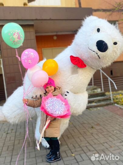 Поздравление Мишка/Чебурашка/ Панда /Аниматоры