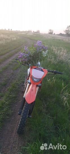 Продам питбайк