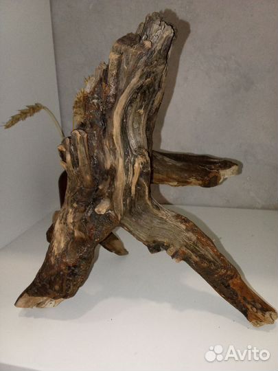 Коряга дрифтвуд для творчества