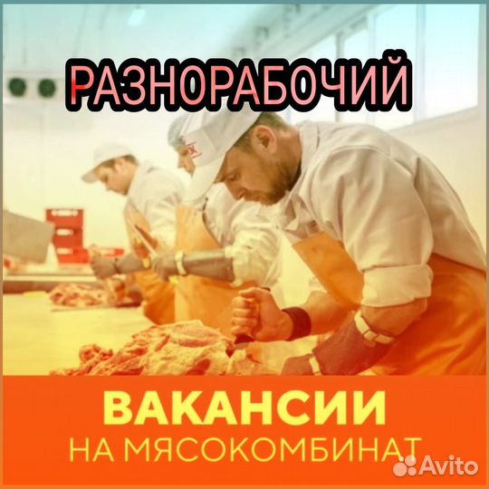 Разнорабочий с проживанием и питанием Вахта