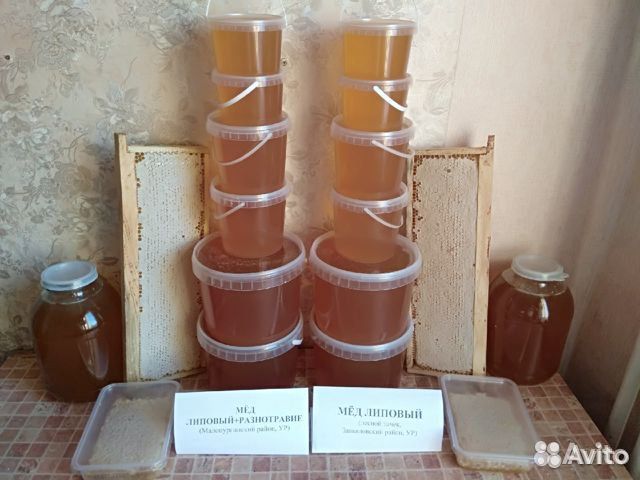 Сотовый мёд (мёд в сотах) и скачанный 2023