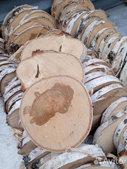 Спилы березы