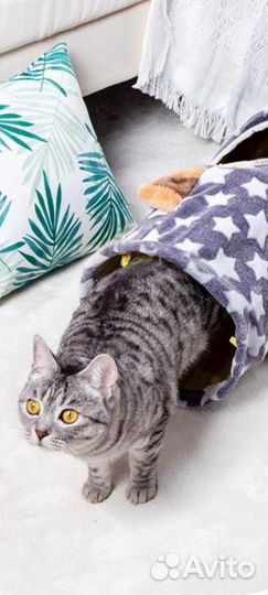 Тоннель для кошек