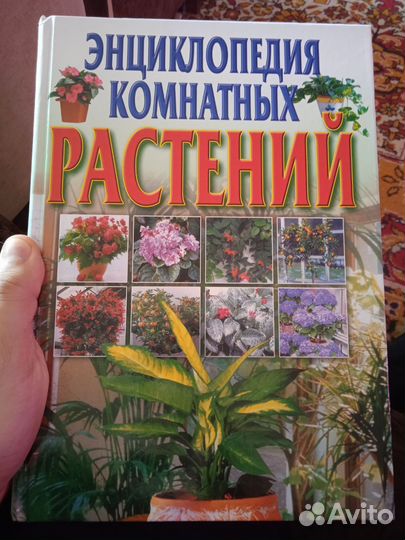 Энциклопедия комнатных растений