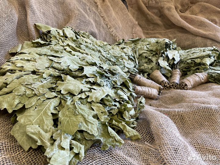 Дубовые веники для бани