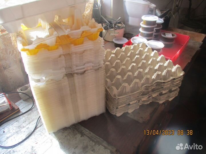 Ячейки для куриных яиц