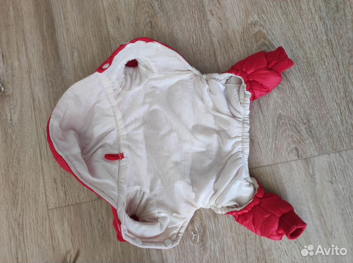 Комбинензон для собаки s мальчика