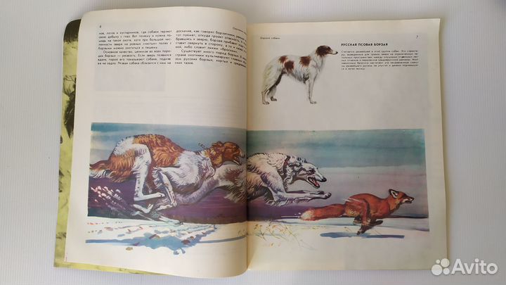 Книги домашние животные птицы рыбы аквариум кошки