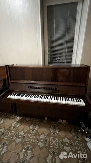 Фортепиано Ростов Дону 2 шт бесплатно