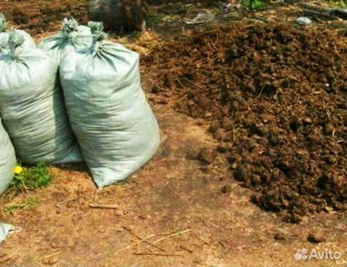 Конский навоз перегной