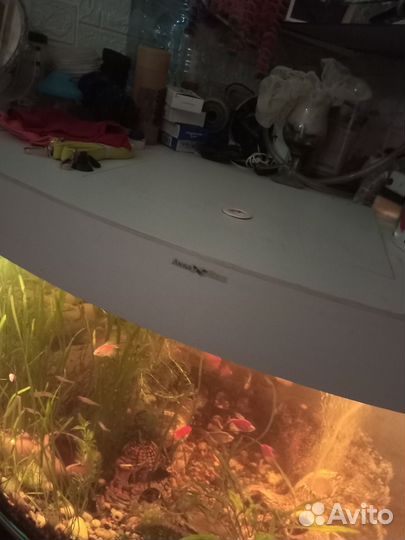 Аквариум