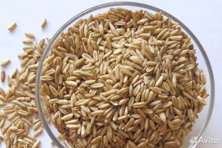 Зерно,комбикорм,склад находится в городе Владимире