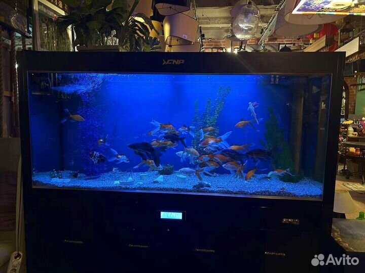 Аквариум с тумбой 890л