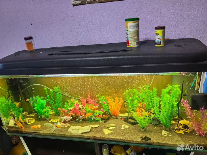 Аквариум