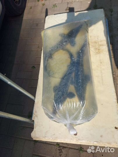 Продаётся малек Белый Амур