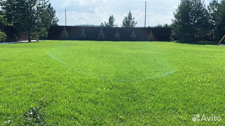 Газон рулонный от производителя