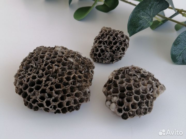 Осиное гнездо для поделок