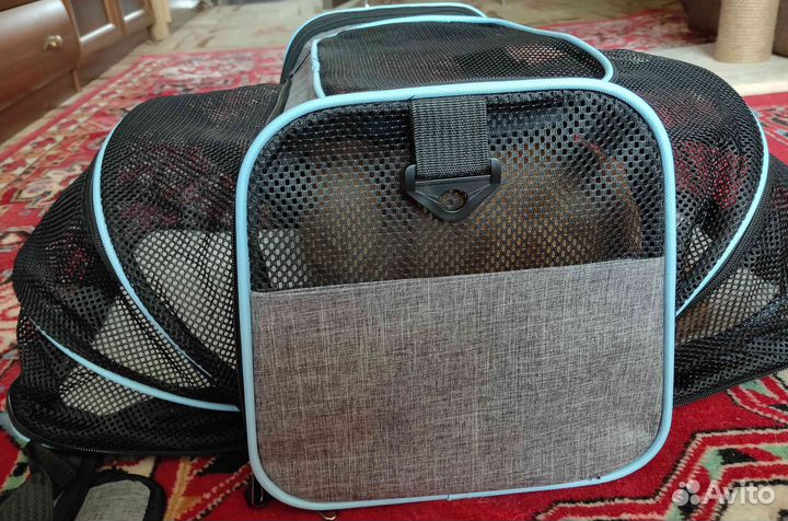 Сумка Переноска для кошек и собак Новая