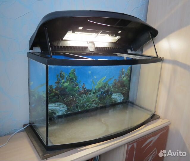 Аквариум