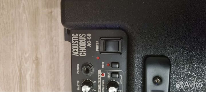 Roland Acoustic chorus ac 60