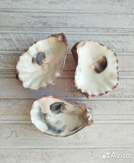 Подставка для украшений из ракушки с жемчужиной