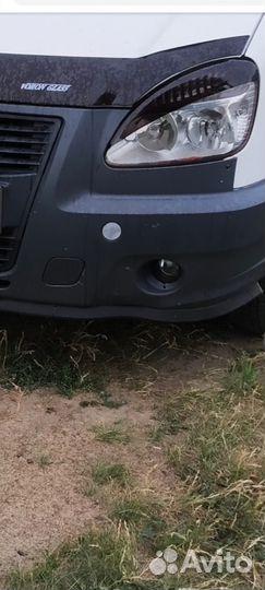 Губа на газель