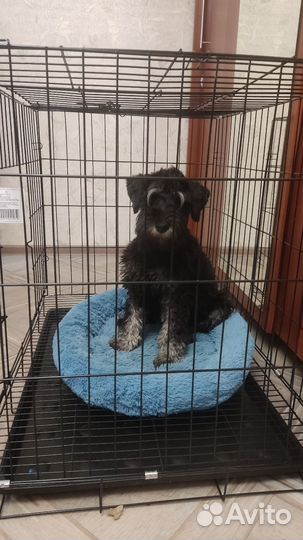 Клетка для животных, для средних и мелких пород
