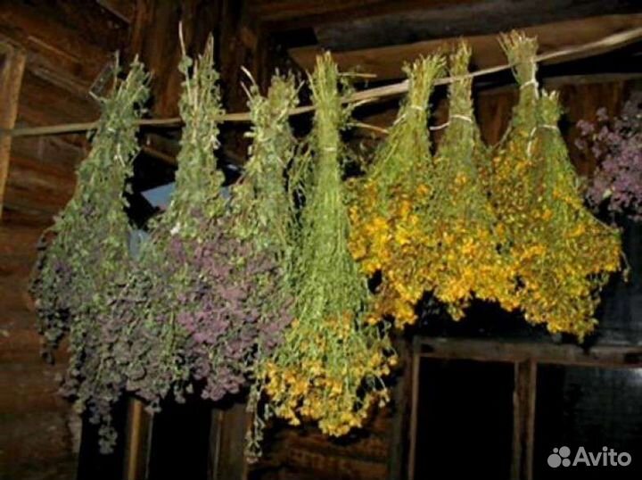 Дубовые И берёзовые веники для бани И сауны