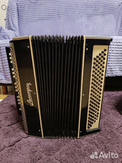 Баян ленинград