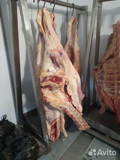 Задняя часть, задок, телятина, говядина