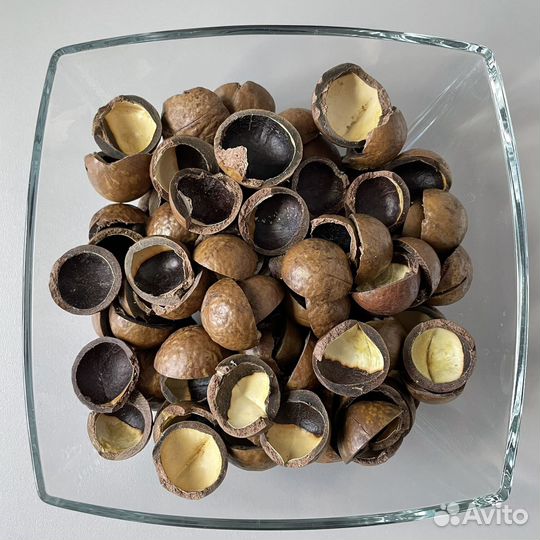 Скорлупа орехов макадамия