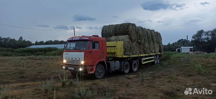 Грузоперевозки камаз полуприцеп. И.П